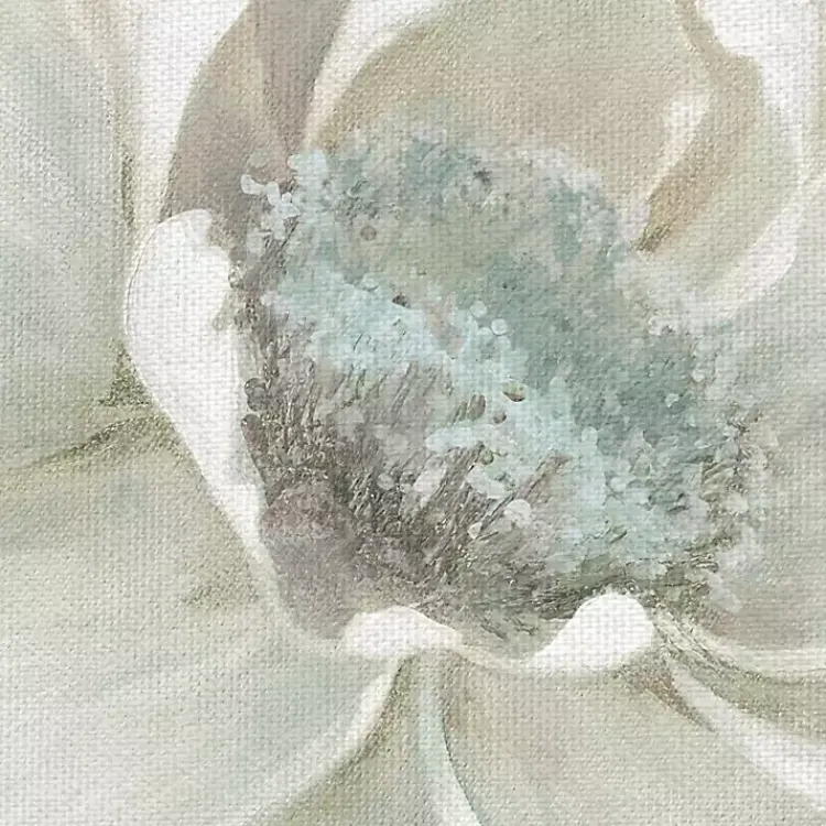 Canvas Art-Kirklands Home Winter Blooms I and II Canvas Art Prints, Set of 2