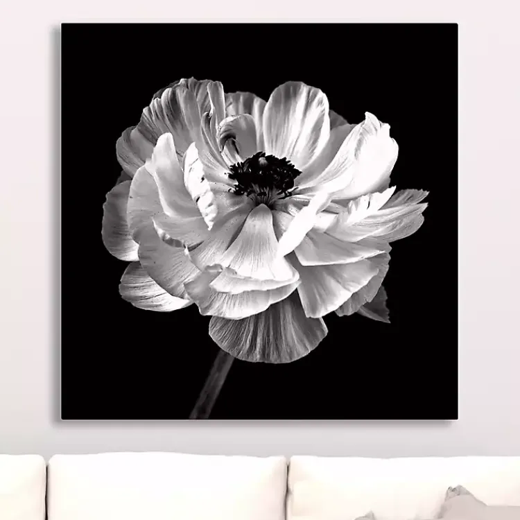 Canvas Art-Kirklands Home Noir Ranunculus Floral Giclee Canvas Art Print