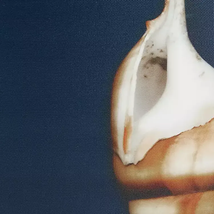 Canvas Art-Kirklands Home Ocean Shell Framed Canvas Art Prints, Set of 4