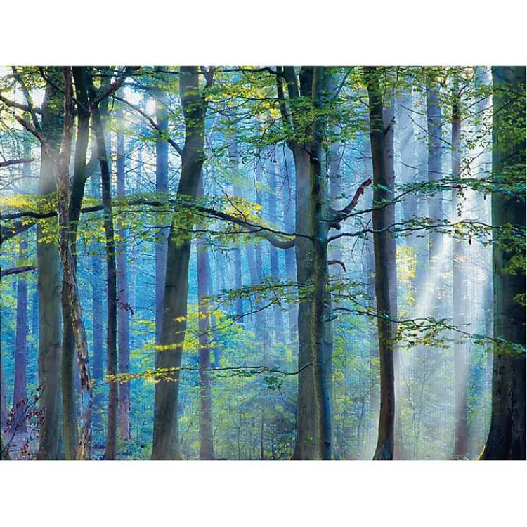 Canvas Art-Kirklands Home Enchanted Forest Canvas Print by Lars Van De Goor