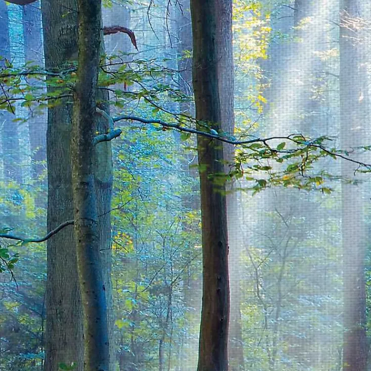 Canvas Art-Kirklands Home Enchanted Forest Canvas Print by Lars Van De Goor