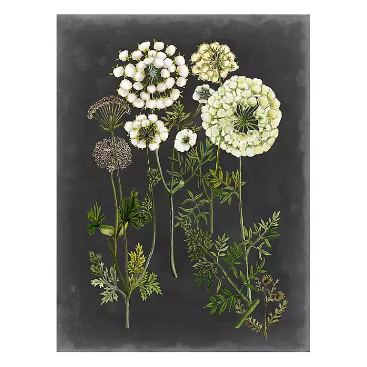 Canvas Art-Kirklands Home Bookplate Floral II Giclee Canvas Art Print