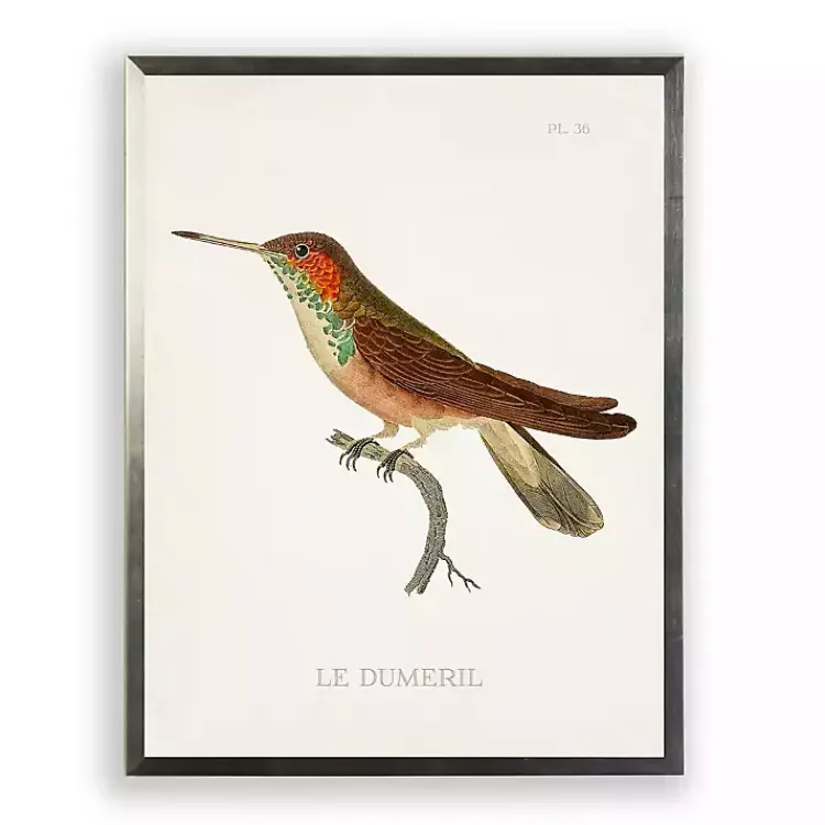 Framed Art-Kirklands Home Hummingbird II Framed Art Print Multi