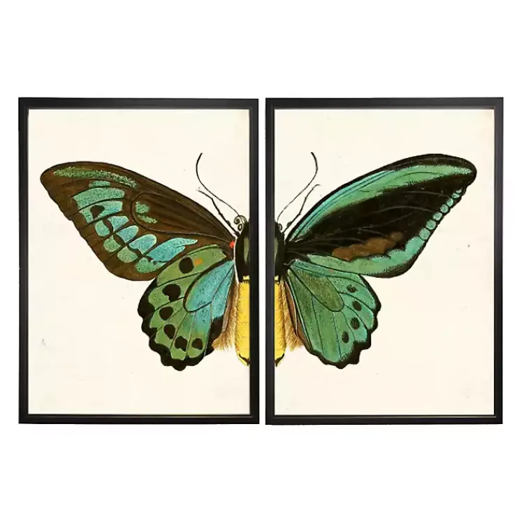 Framed Art-Kirklands Home Turquoise Butterfly Framed Art Prints, Set of 2 Multi