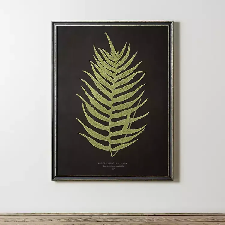 Framed Art-Kirklands Home Black Fern II Framed Art Print