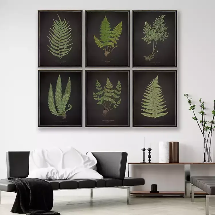 Framed Art-Kirklands Home Black Fern II Framed Art Print