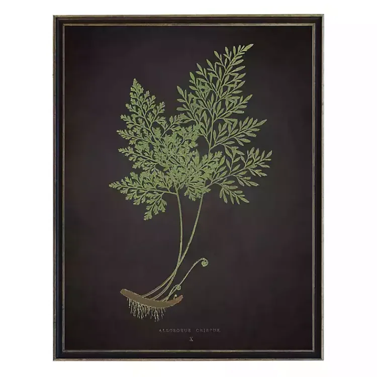 Framed Art-Kirklands Home Fern Bookplate VII Framed Art Print