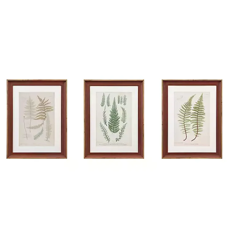 Framed Art-Kirklands Home Martha Stewart Lady Fern Framed Art Print Set