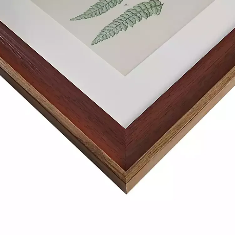 Framed Art-Kirklands Home Martha Stewart Lady Fern Framed Art Print Set