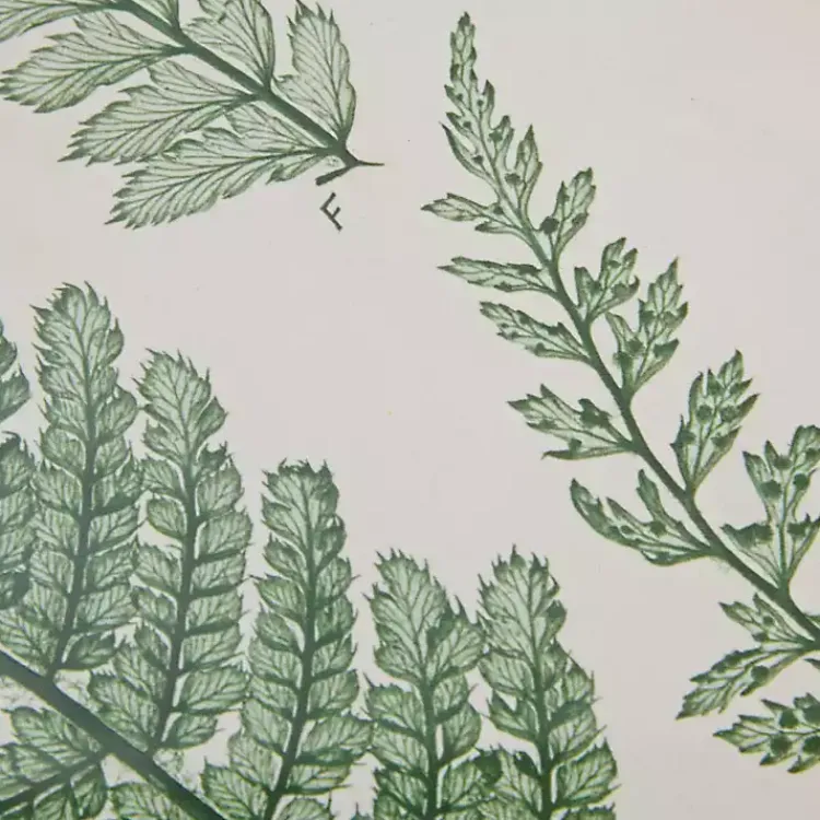 Framed Art-Kirklands Home Martha Stewart Lady Fern Framed Art Print Set