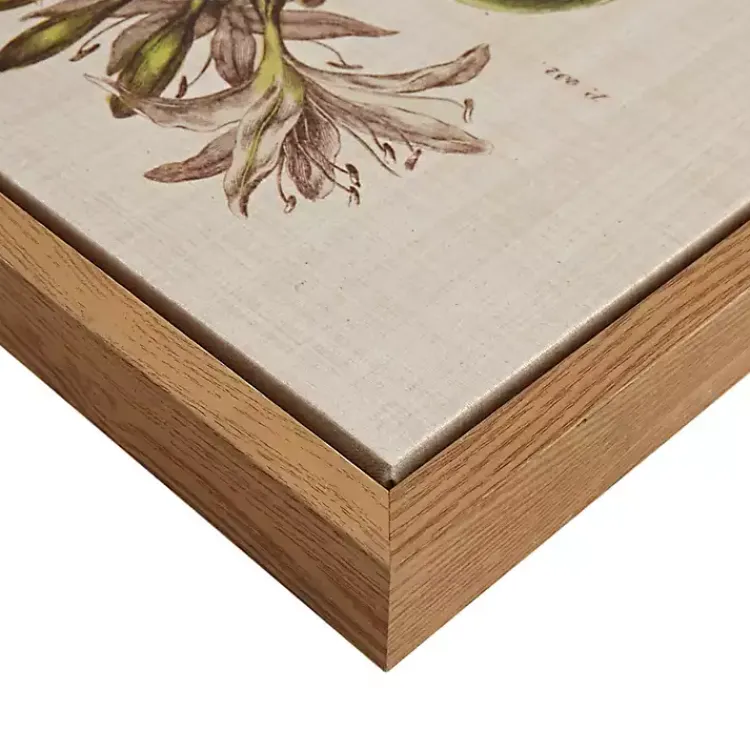 Canvas Art-Kirklands Home Martha Stewart Herb and Floral Framed Print Set