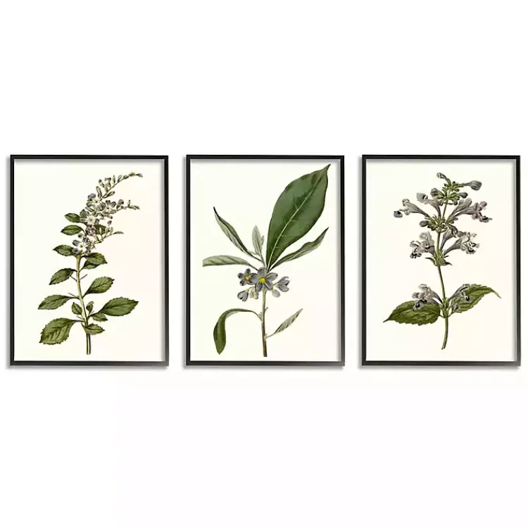 Framed Art-Kirklands Home Minimal Soft Flowers Framed Art Prints, Set of 3