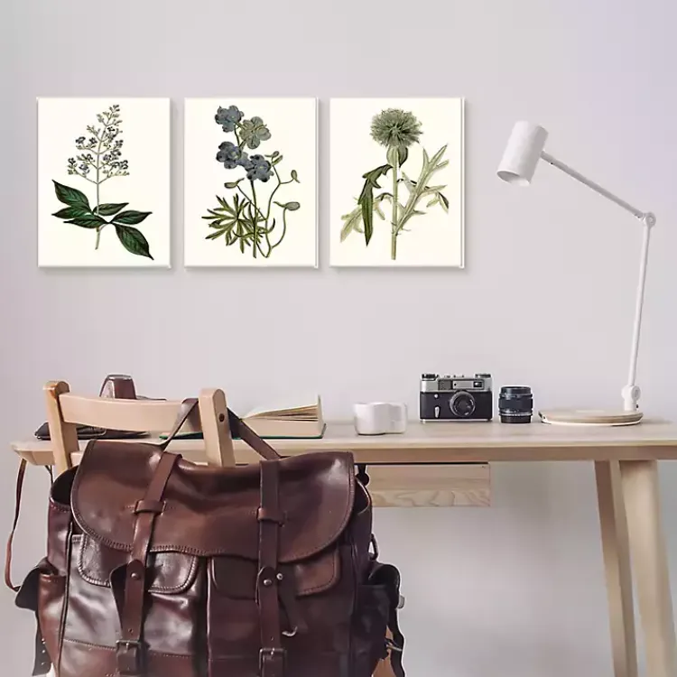 Framed Art-Kirklands Home Vintage Blue Flowers Framed Art Prints, Set of 3