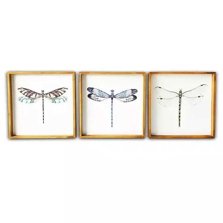 Framed Art-Kirklands Home Dragonfly Framed Art Prints, Set of 3