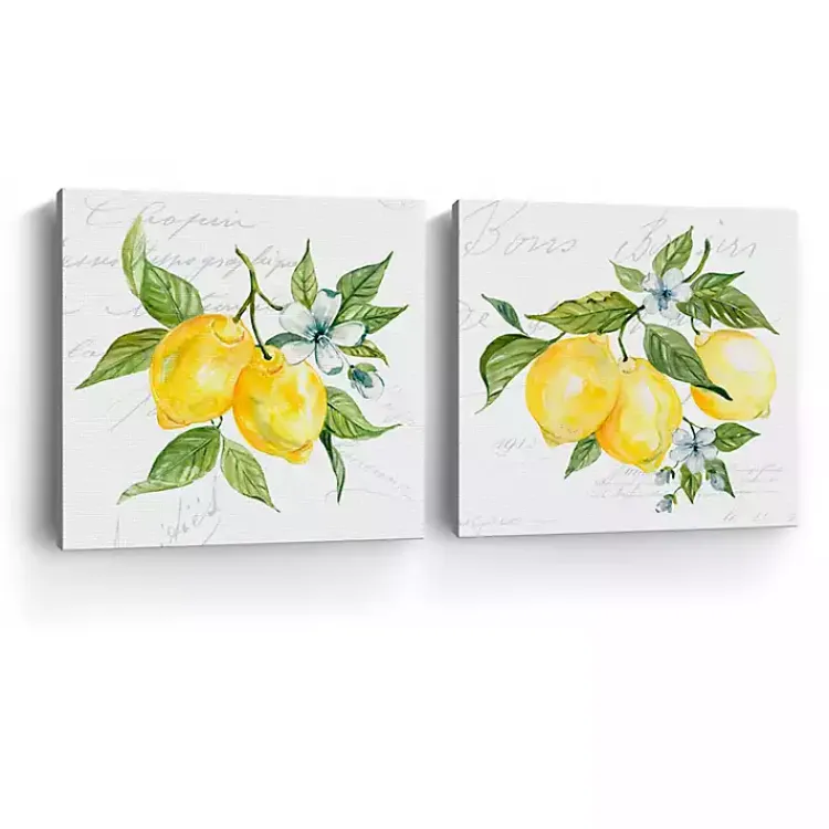 Canvas Art-Kirklands Home Lemon Squeeze Canvas Art Prints, Set of 2