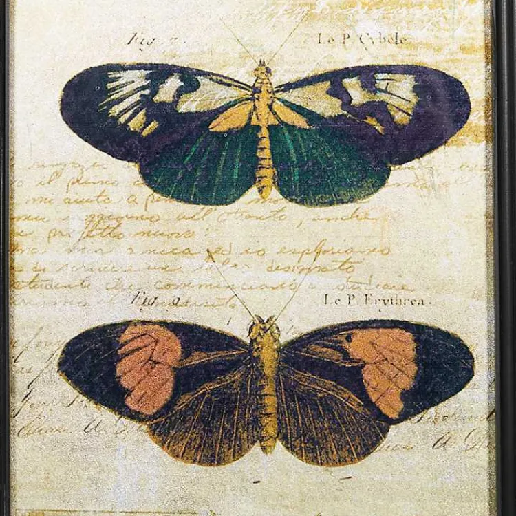 Wall Quotes & Signs-Kirklands Home Literary Butterflies Framed Art Prints, Set of 2