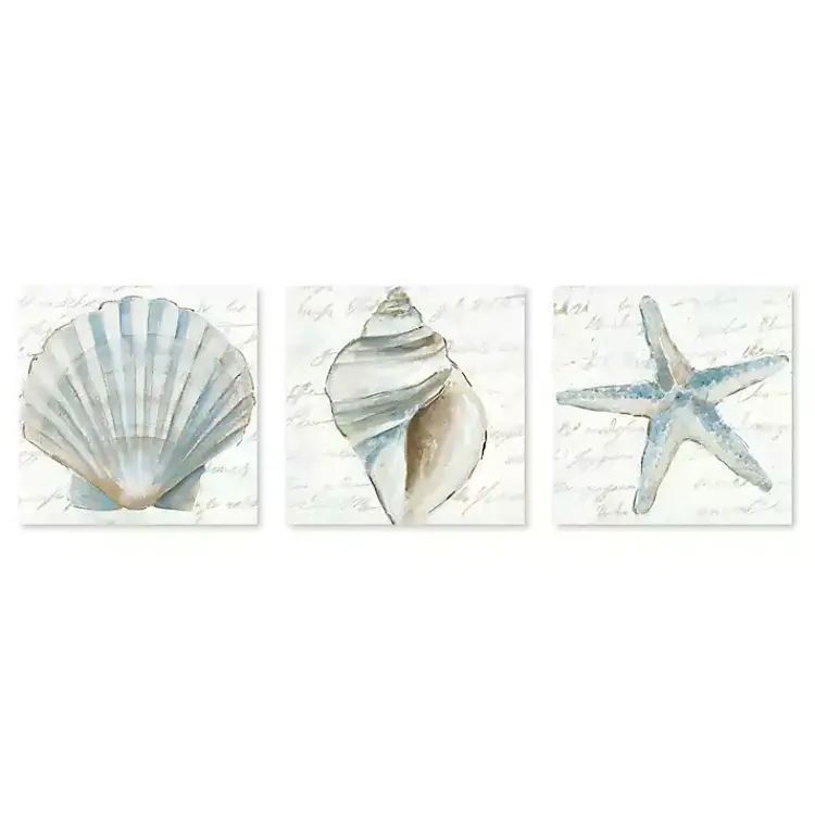 Canvas Art-Kirklands Home Ocean Treasures Canvas Art Prints, Set of 3