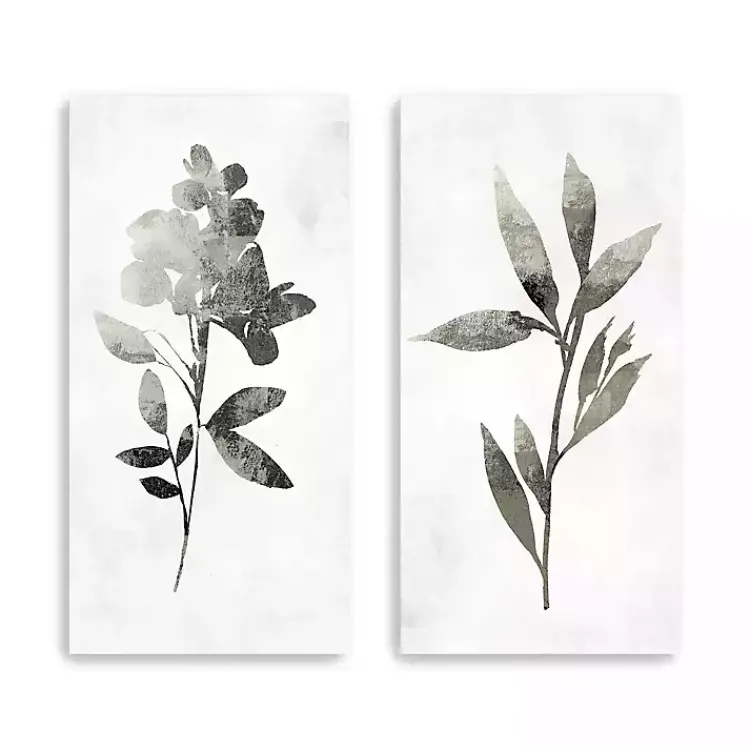Canvas Art-Kirklands Home A Shadow of a Flower 2-pc. Canvas Art Set