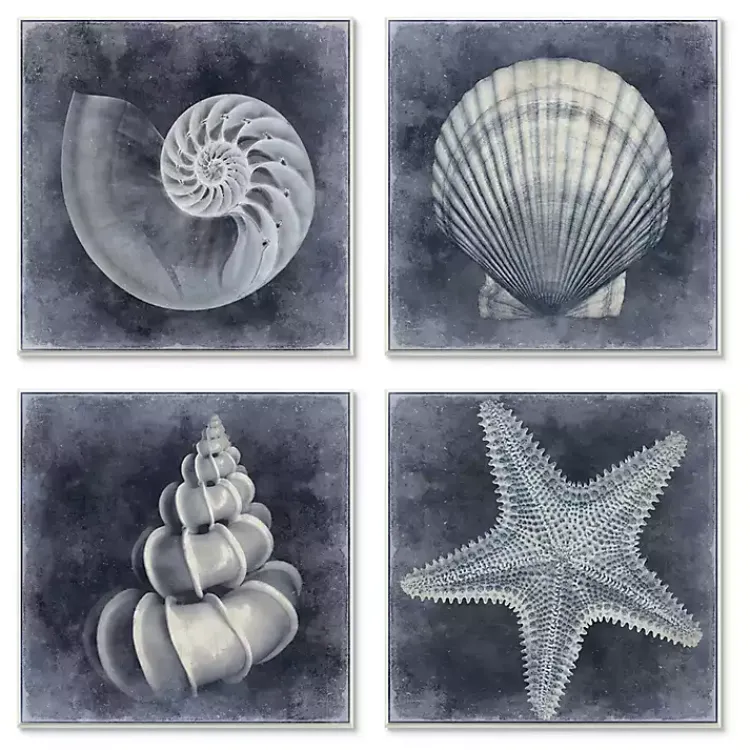 Framed Art-Kirklands Home Nautical Seashells 4-pc. Canvas Art Print Set