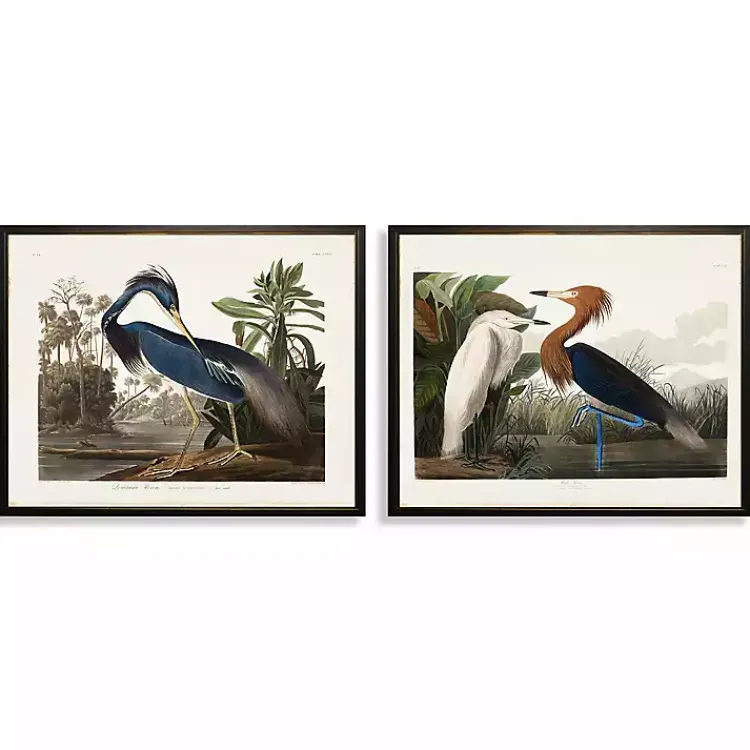 Framed Art-Kirklands Home Water Birds Framed Art Prints, Set of 2 Multi