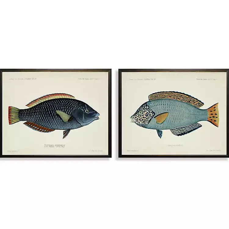 Wall Quotes & Signs-Kirklands Home Blue Fish Framed Art Prints, Set of 2