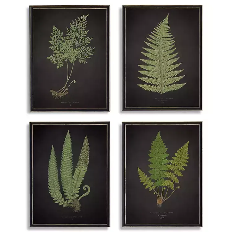 Framed Art-Kirklands Home Fern Framed Art Prints, Set of 4