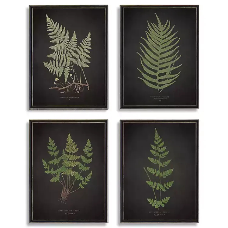 Framed Art-Kirklands Home Four Ferns Framed Art Prints, Set of 4