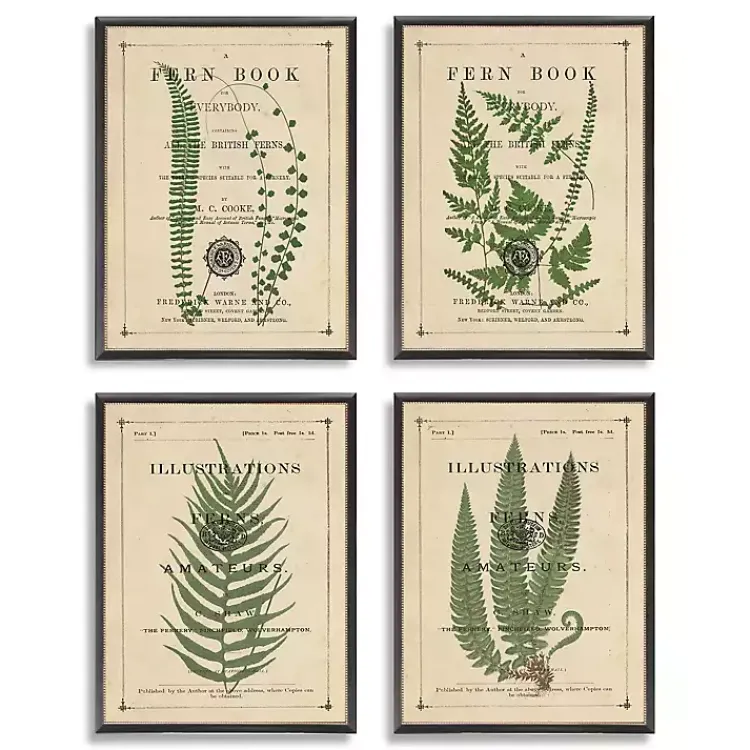 Framed Art-Kirklands Home Fern Illustrations Framed Art Prints, Set of 4