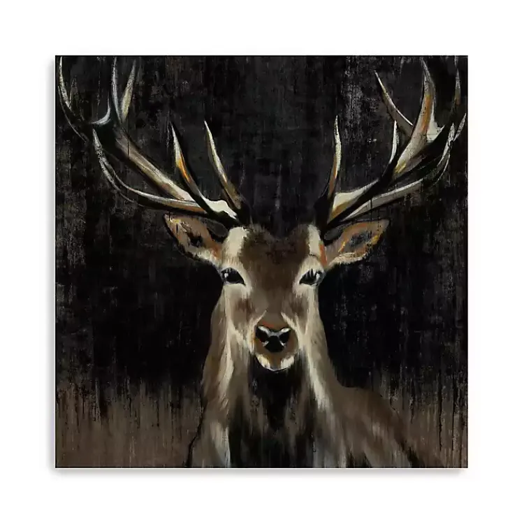 Canvas Art-Kirklands Home Young Buck Giclee Canvas Art Print, 40x40 in. Black