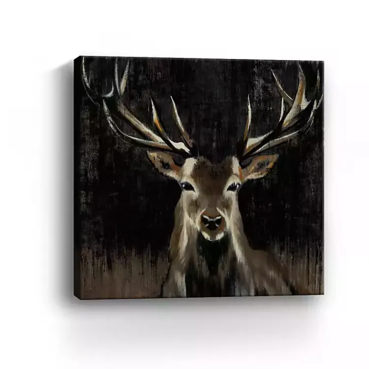 Canvas Art-Kirklands Home Young Buck Giclee Canvas Art Print, 40x40 in. Black