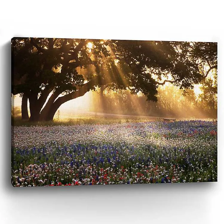 Canvas Art-Kirklands Home Morning Meadow Giclee Canvas Art Print, 40x30 in. Yellow