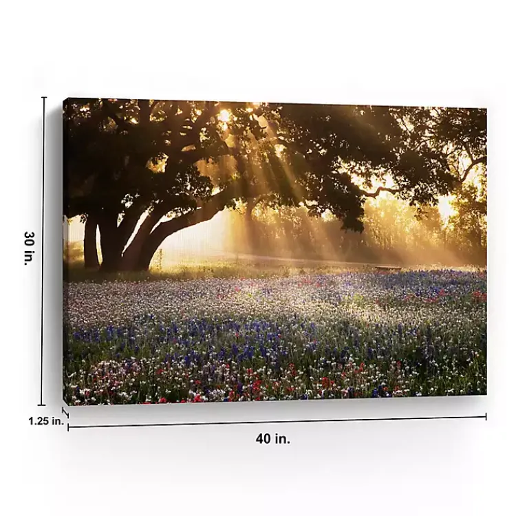 Canvas Art-Kirklands Home Morning Meadow Giclee Canvas Art Print, 40x30 in. Yellow