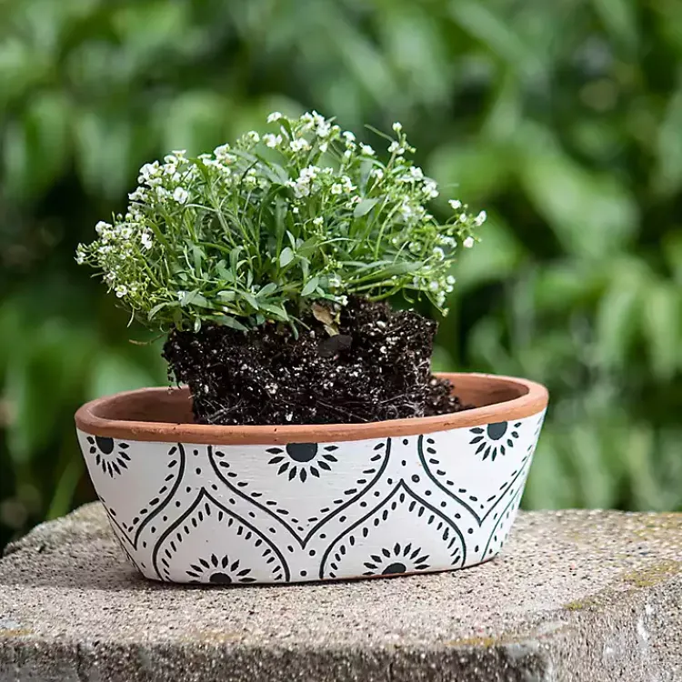 Planters-Kirklands Home Ogee Handthrown Terracotta Planter