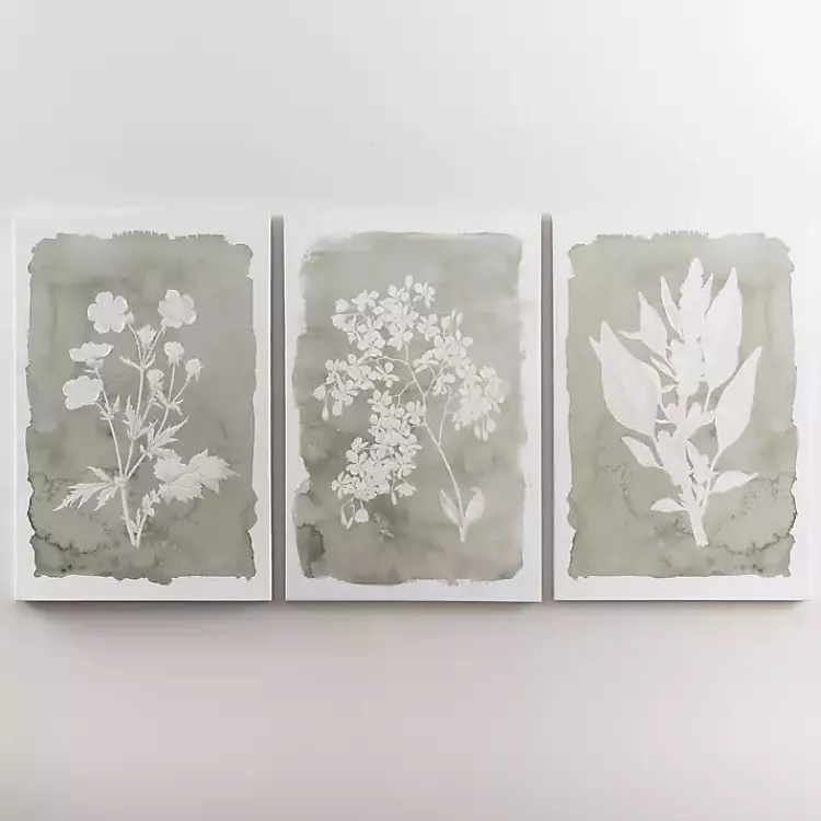 Canvas Art-Kirklands Home Springtime Bloom II Canvas Art Print