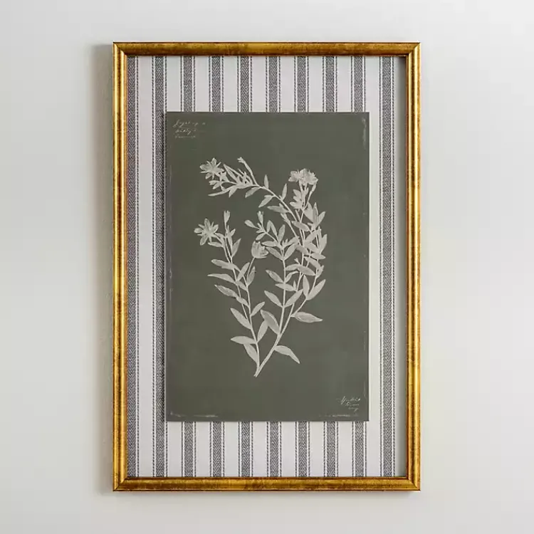 Framed Art-Kirklands Home Botanical Stripes II Framed Art Print
