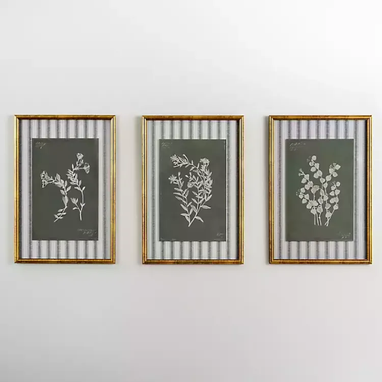 Framed Art-Kirklands Home Botanical Stripes II Framed Art Print