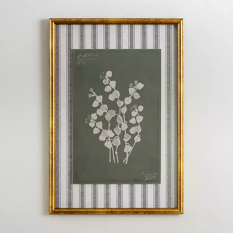 Framed Art-Kirklands Home Botanical Stripes III Framed Art Print