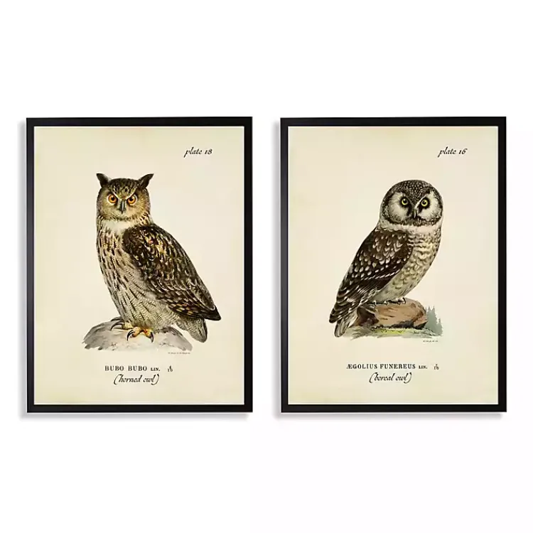 Framed Art-Kirklands Home Sitting Owls Black Framed Art Prints, Set of 2 Brown