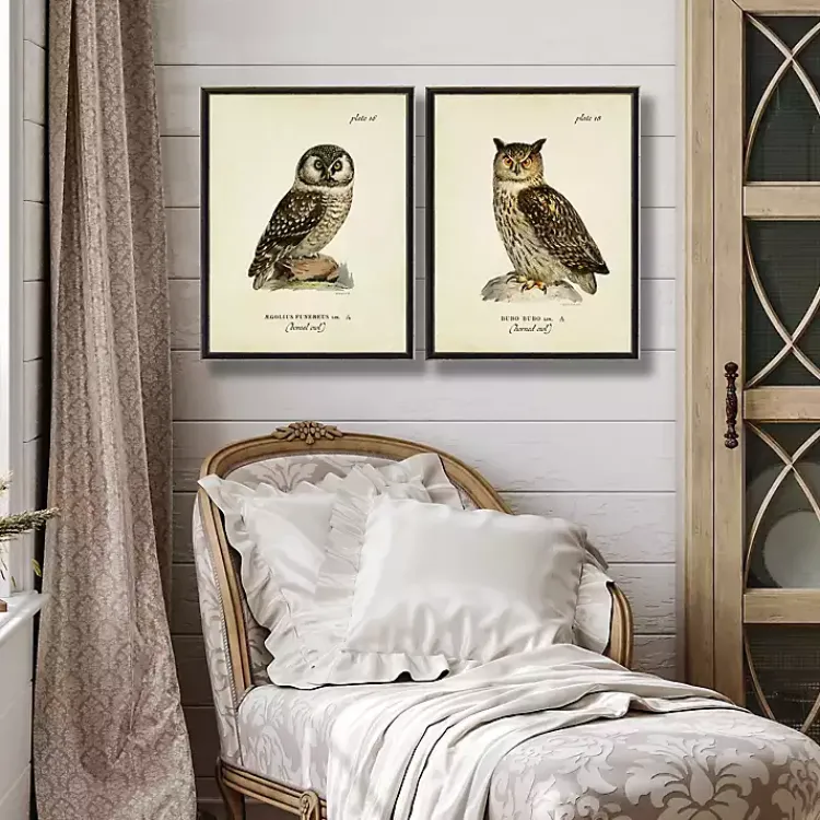 Framed Art-Kirklands Home Sitting Owls Black Framed Art Prints, Set of 2 Brown