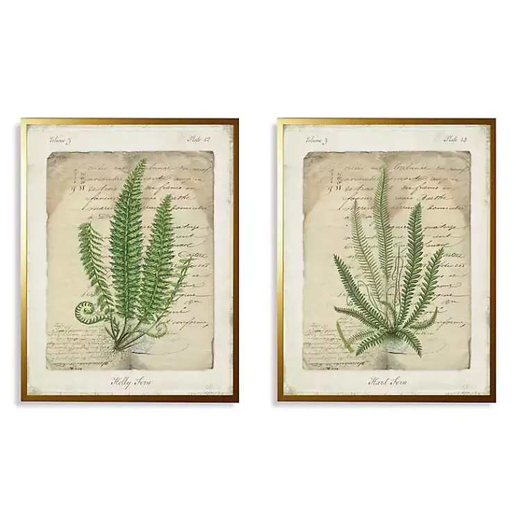 Framed Art-Kirklands Home Vintage Green Ferns Framed Art Prints, Set of 2