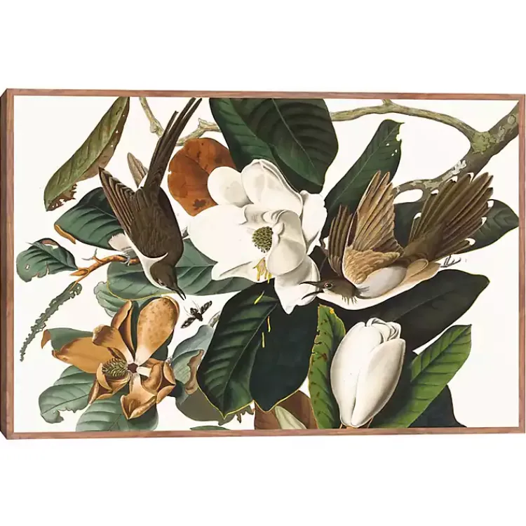 Canvas Art-Kirklands Home Black Billed Cuckoo Framed Canvas Art Print Multi
