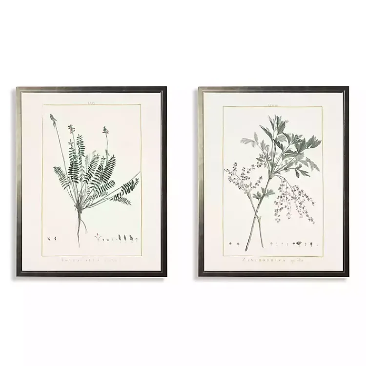 Framed Art-Kirklands Home Greenery Botanicals I Framed Art Prints, Set of 2