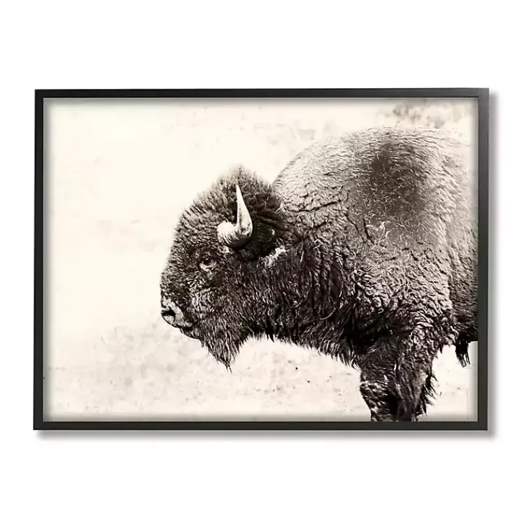 Canvas Art-Kirklands Home Shaggy Buffalo Black Framed Canvas Art Print Brown