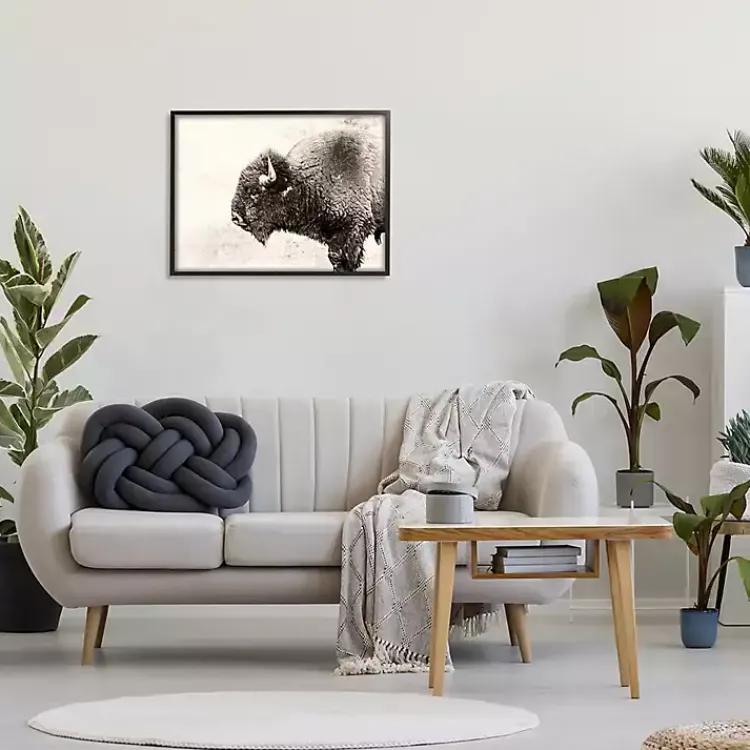 Canvas Art-Kirklands Home Shaggy Buffalo Black Framed Canvas Art Print Brown