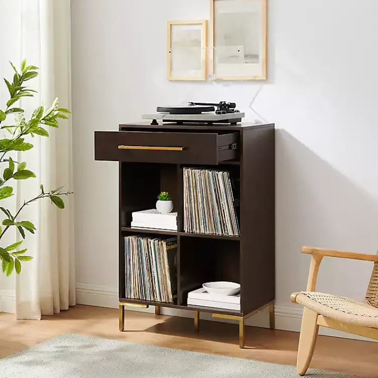 Bookshelves-Kirklands Home Cadence Gold Record Storage Bookcase