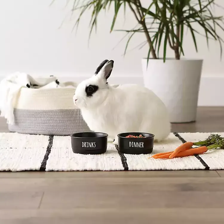 Pet Dishes & Canisters-Kirklands Home Dinner & Drinks 2-pc. Pet Bowl Set, 4 in. Black