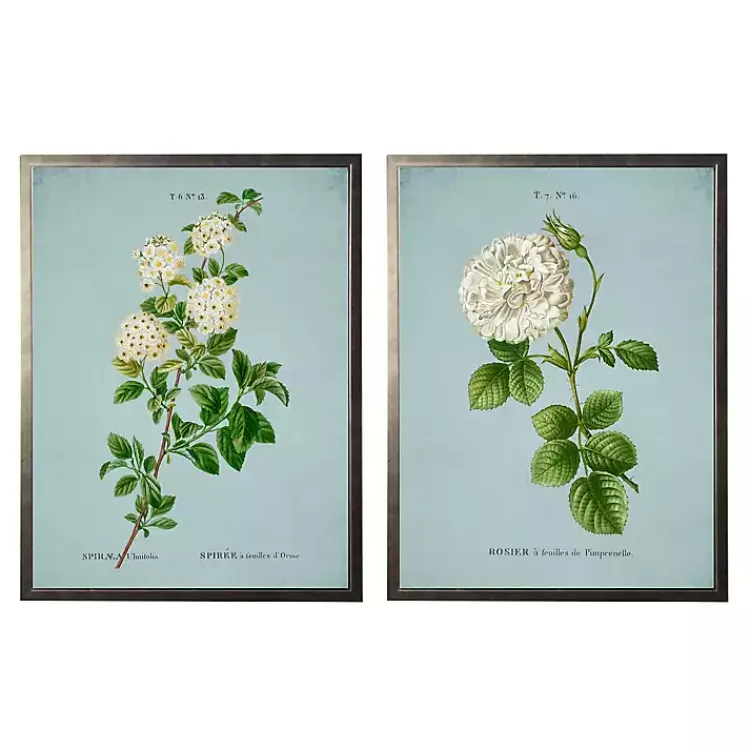 Framed Art-Kirklands Home Blue Floral Diagram II Framed Art Prints, Set of 2