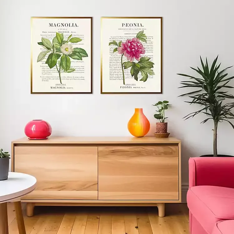 Framed Art-Kirklands Home Vintage Floral Diagram Framed Art Prints, Set of 2