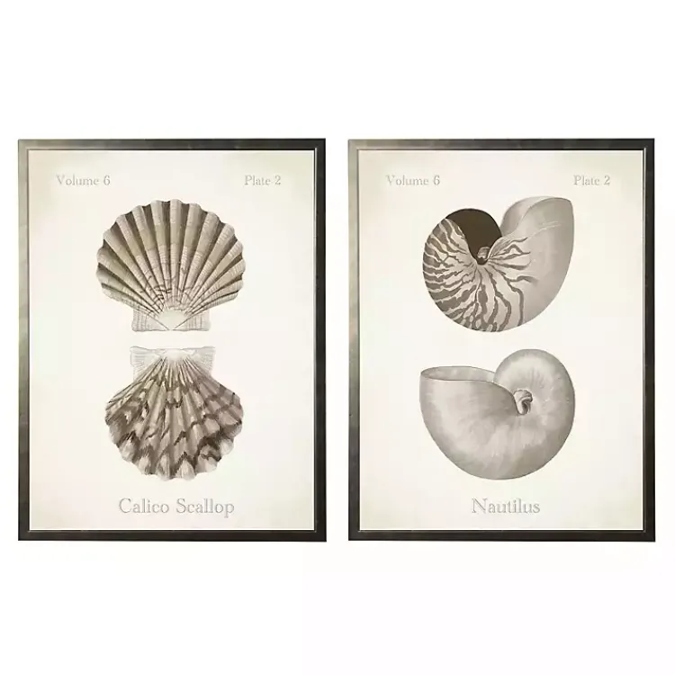 Framed Art-Kirklands Home Neutral Seashells Framed Art Prints, Set of 2