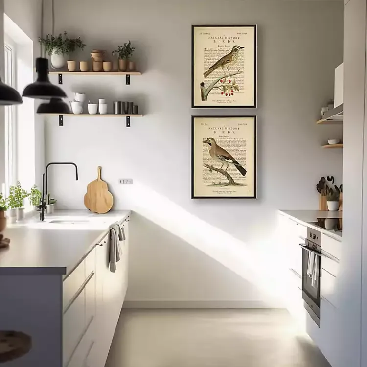 Framed Art-Kirklands Home Birds Diagram I Framed Art Prints, Set of 2 Ivory